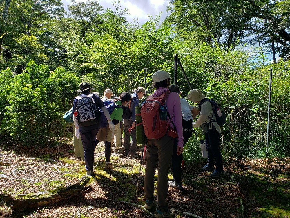 代替えテキスト