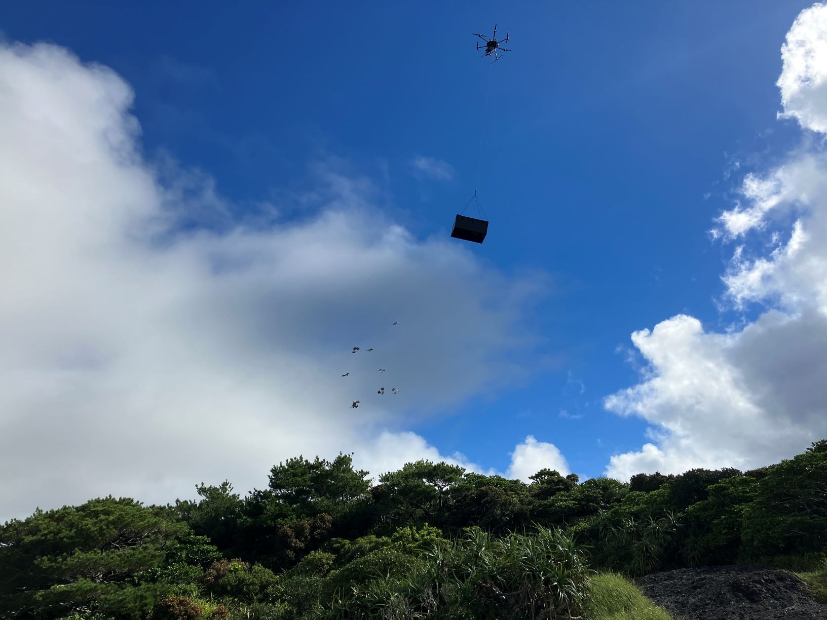 トラップの入ったケースをドローンに搭載して、トラップを空から撒く試験の様子