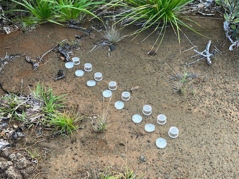 容器を並べている様子