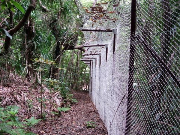 東平ノヤギノネコ侵入防止柵