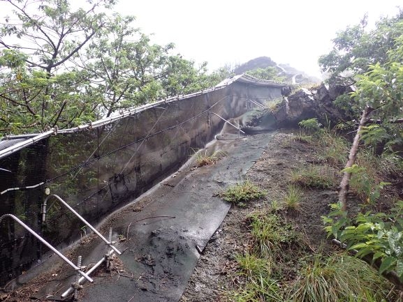 兄島で現在使用しているグリーンアノール柵