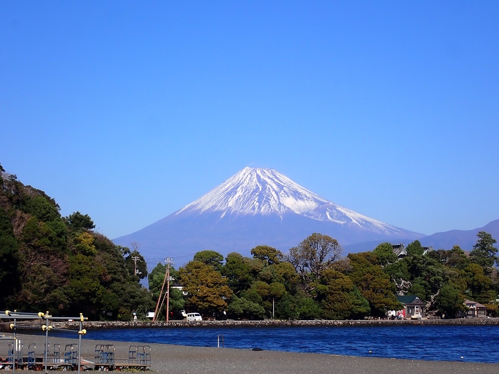 代替えテキスト