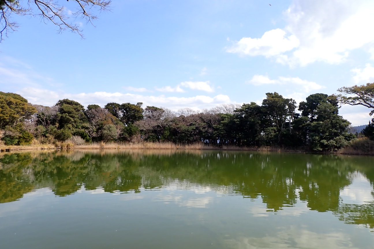 代替えテキスト