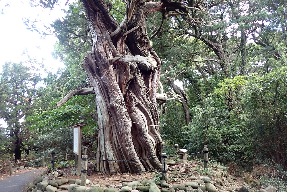 代替えテキスト