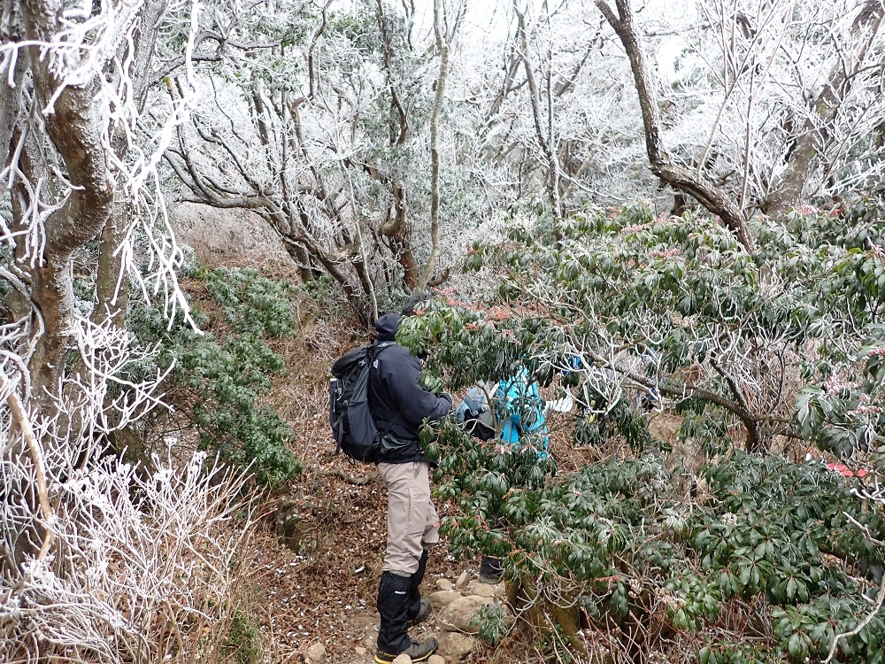 代替えテキスト