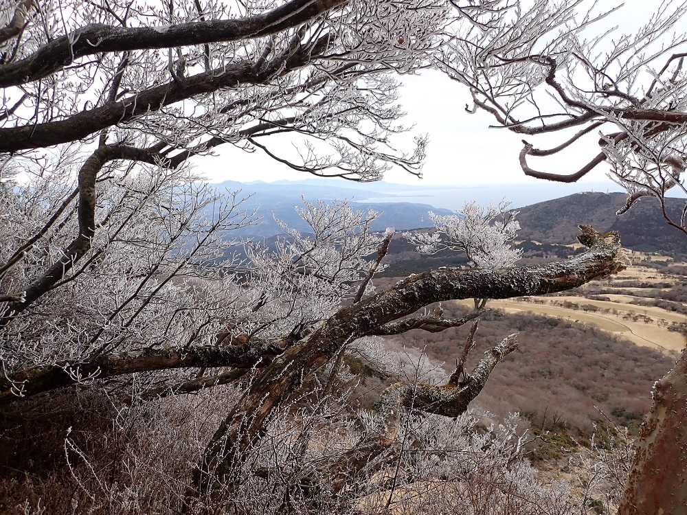 代替えテキスト