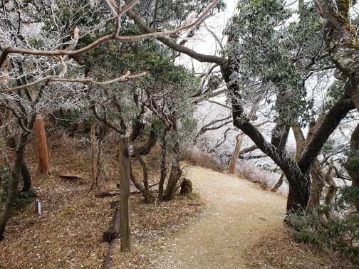 代替えテキスト