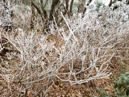 代替えテキスト