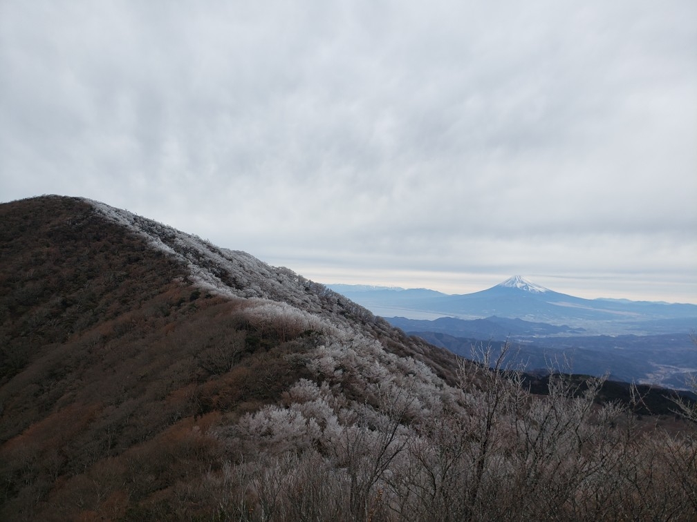 代替えテキスト