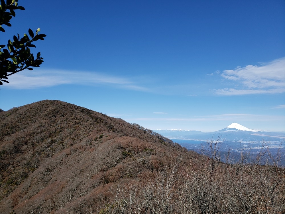 代替えテキスト