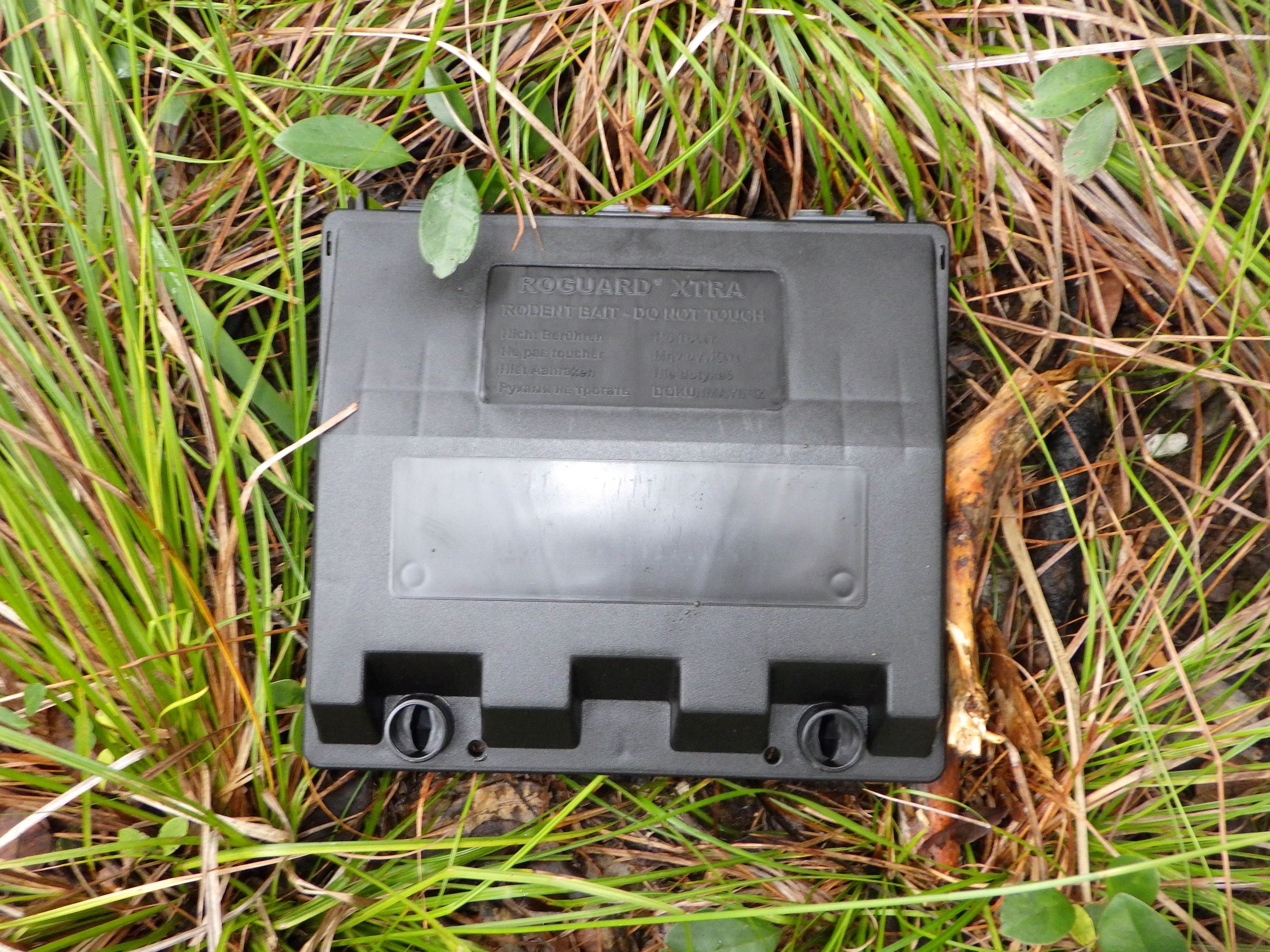 林内に置かれたベイトステーション