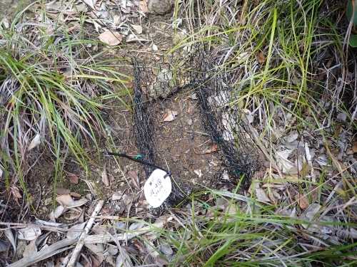 柵設置後の写真