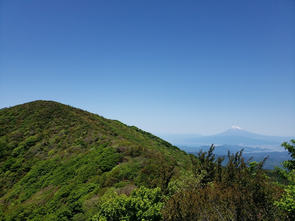 代替えテキスト