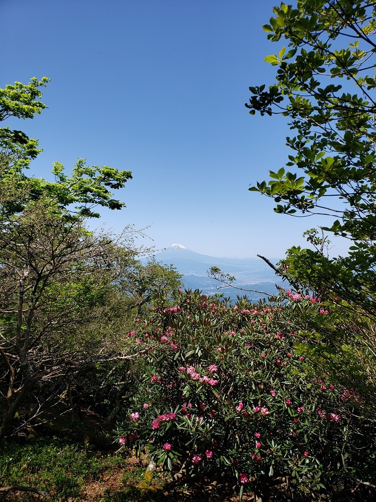 代替えテキスト