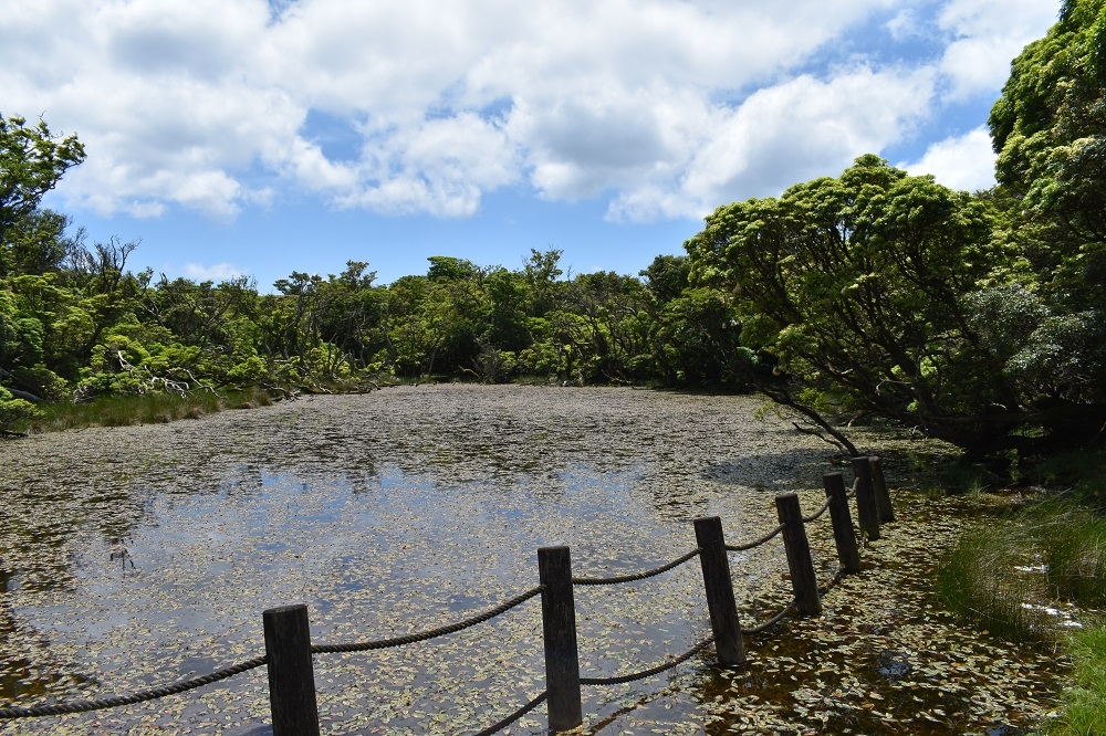 代替えテキスト