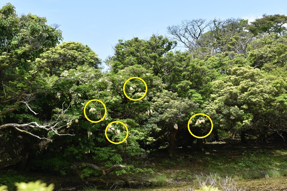 代替えテキスト