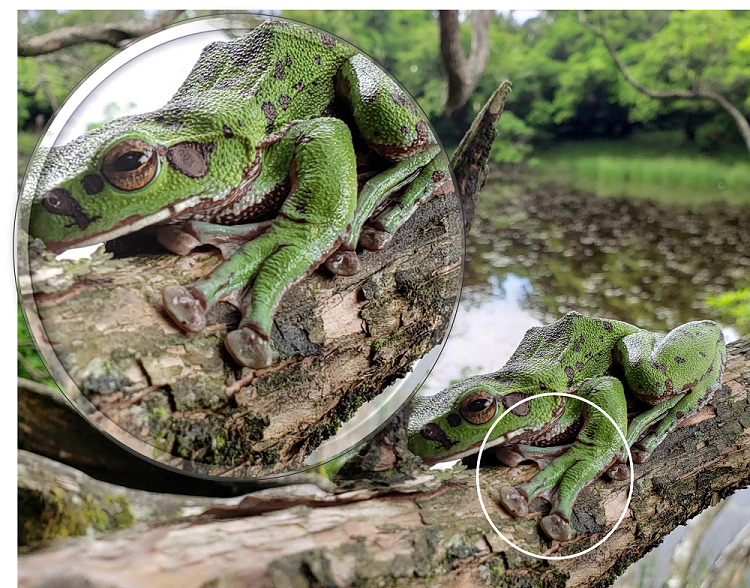 代替えテキスト