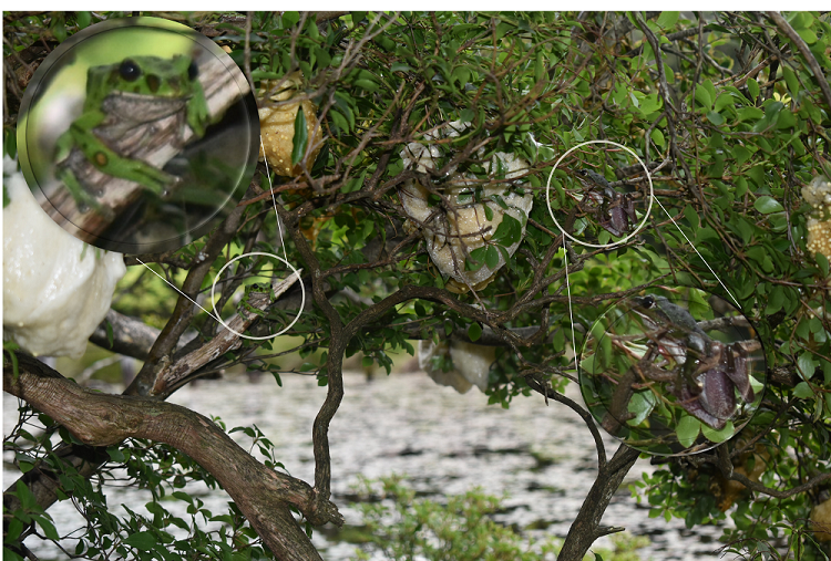 代替えテキスト