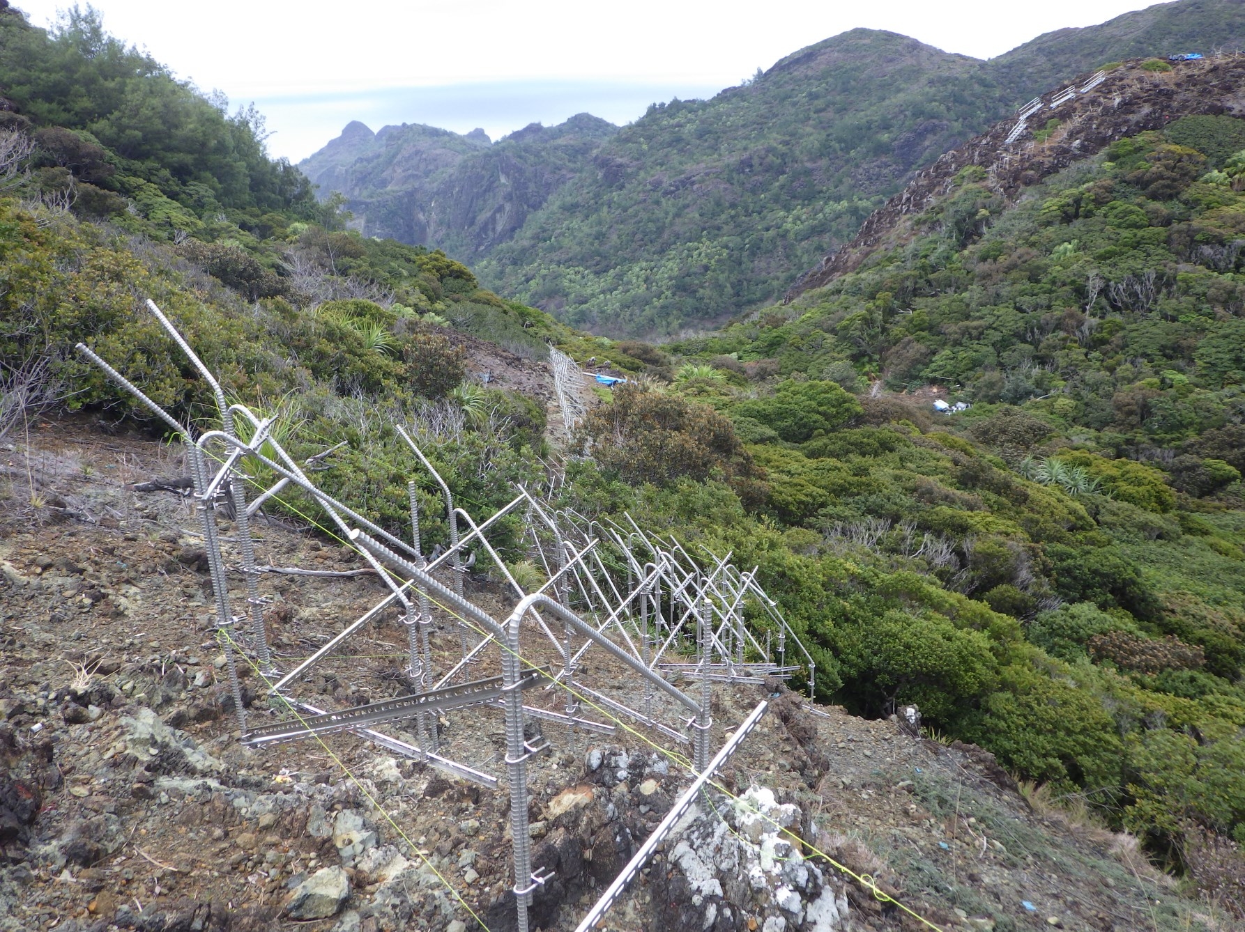 支柱が立っている様子