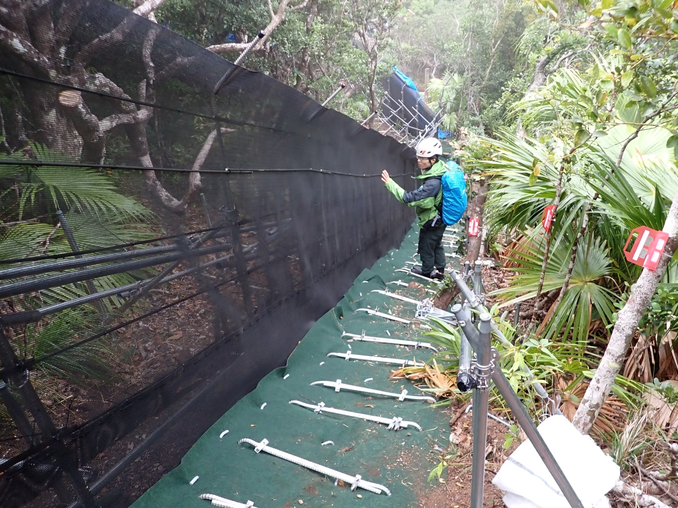 ネットが付いた様子