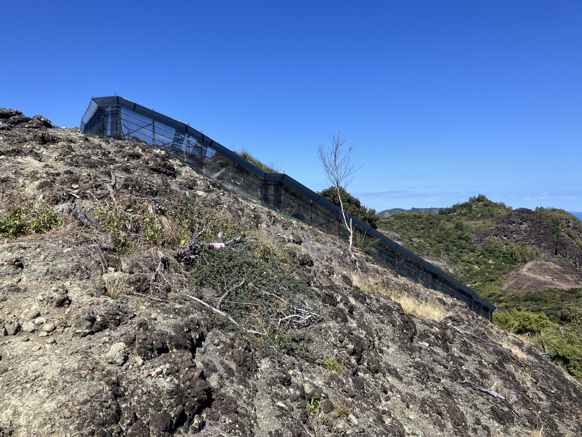 大丸山山頂付近の柵