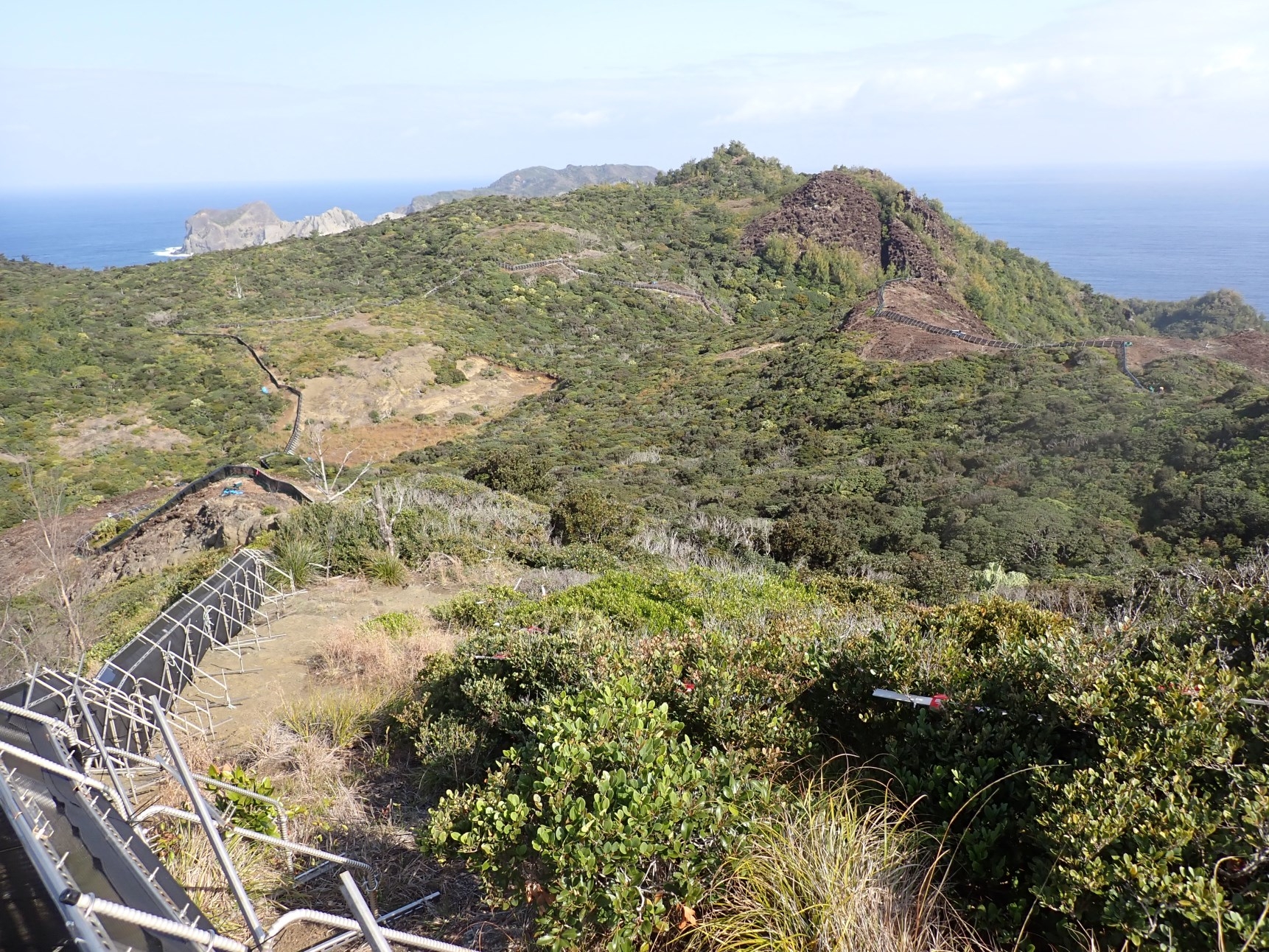 大丸山保全地域全体