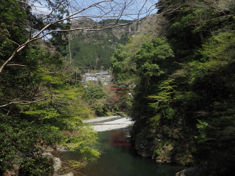 氷川渓谷の登計橋より昭和橋方面