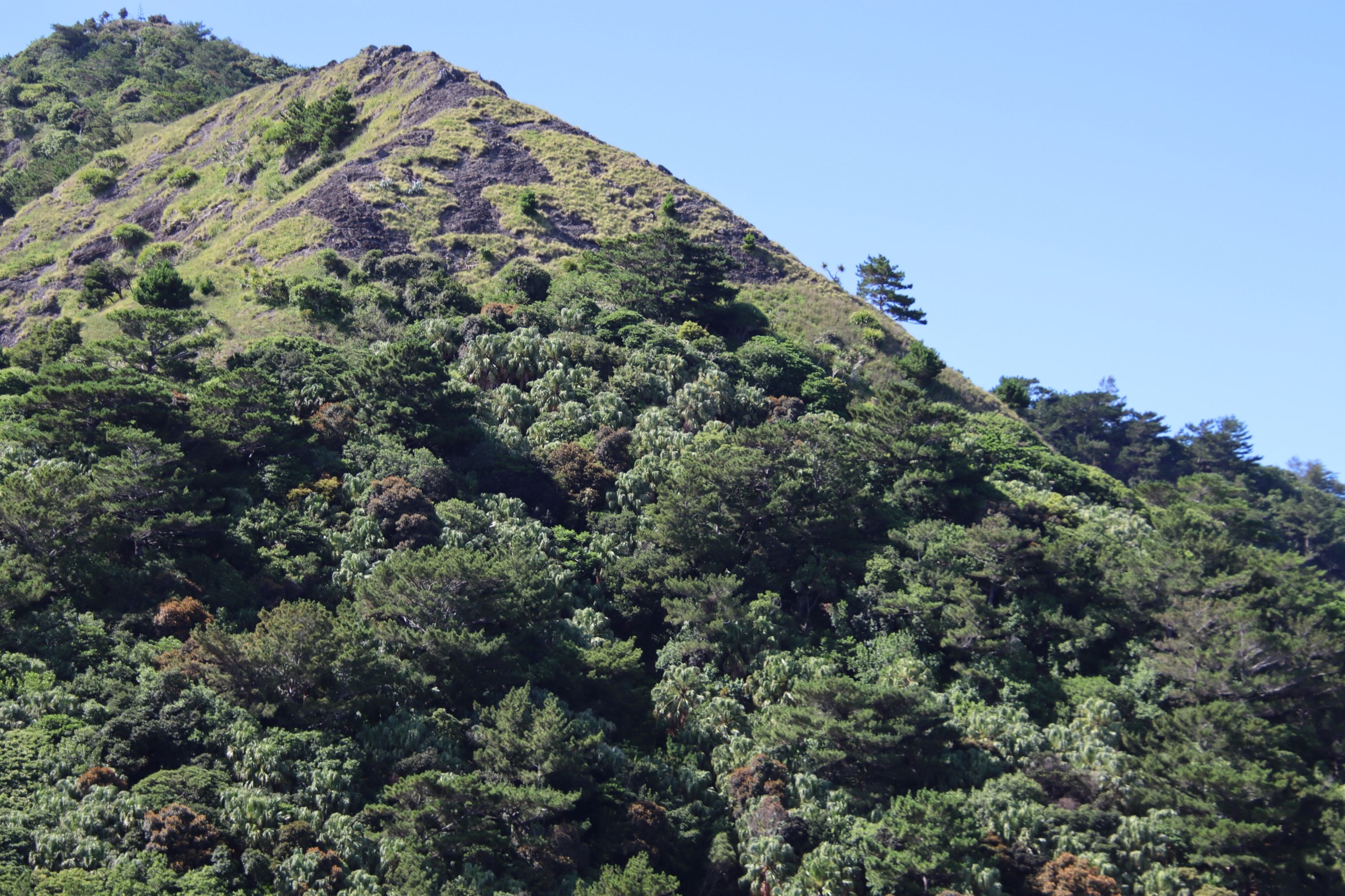 高山の斜面に注目