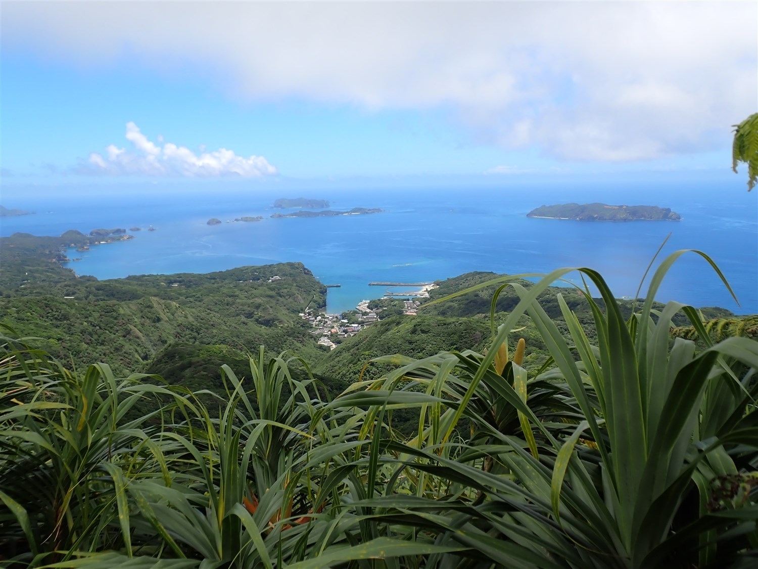 登山道途中で海と集落を見渡せる景色を撮影
