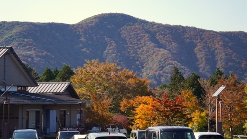 事務所から見るきれいな紅葉　