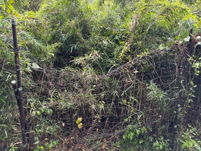 上がつぶれてしまった柵　