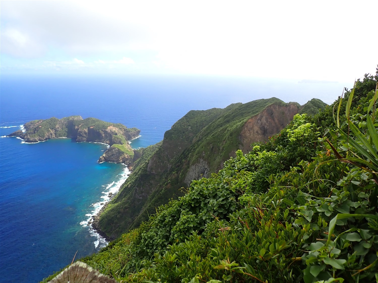 展望台から見下ろした母島東側の海と東崎