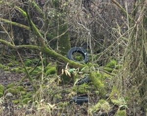 ▲投げ捨てられたタイヤ　