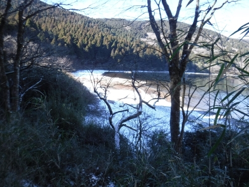 雪で白くなった白浜　