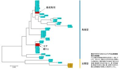 【参考説明図】