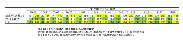 【参考説明図】
