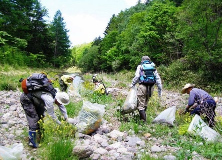 外来植物除去活動