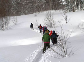 冬期パトロール活動