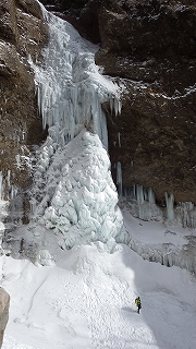 右下に利用者。圧倒的な大きさがわかります。