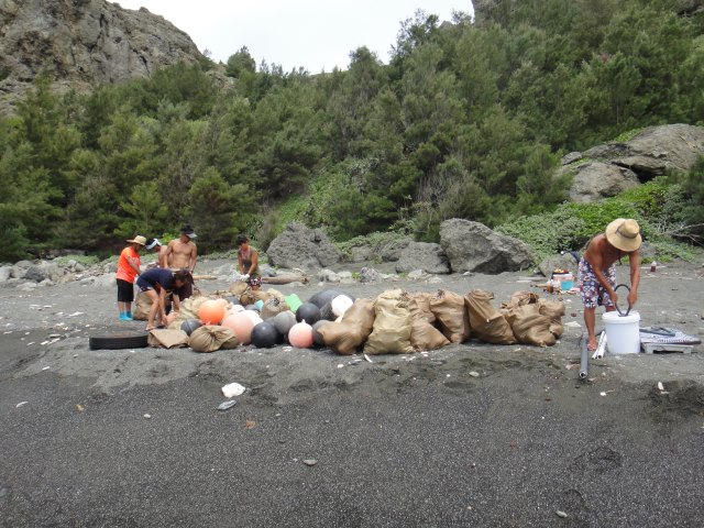 いろんな物が漂着してます