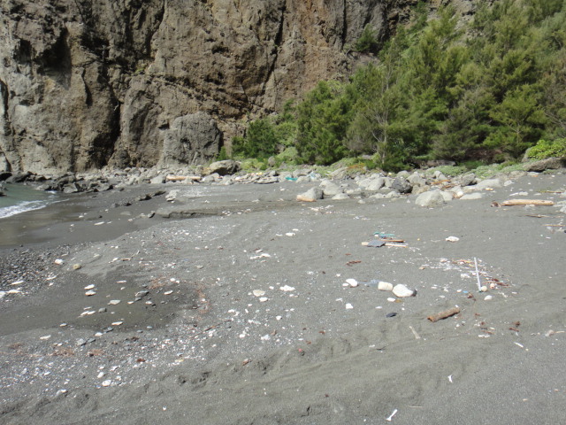 キャタピラの跡みたいなのがカメの足跡です