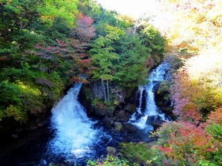 着々と見頃を迎えている竜頭の滝