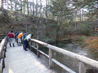 小滝での観察の様子