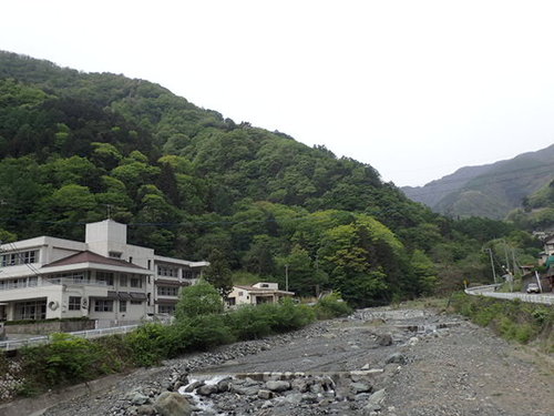 新緑がさわやかに色付く芦安地域
