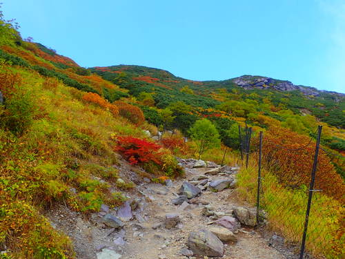右俣・草すべり合流ルート付近の紅葉の様子 9/25