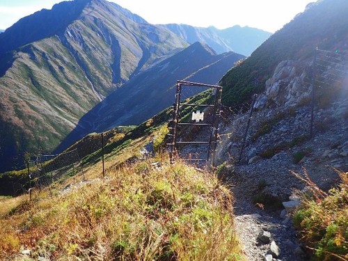 荒川三山の登山道上に設置されている防鹿柵