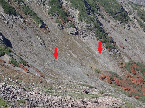 シカの足跡が見られる丸山（3,032ｍ）付近