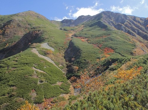 紅葉で色付く仙丈ヶ岳