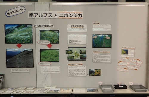 南アルプスとニホンジカについての展示