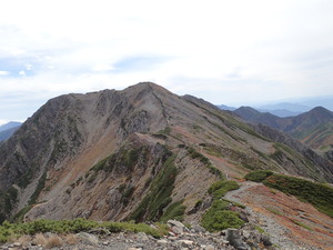 赤石岳を稜線から望む